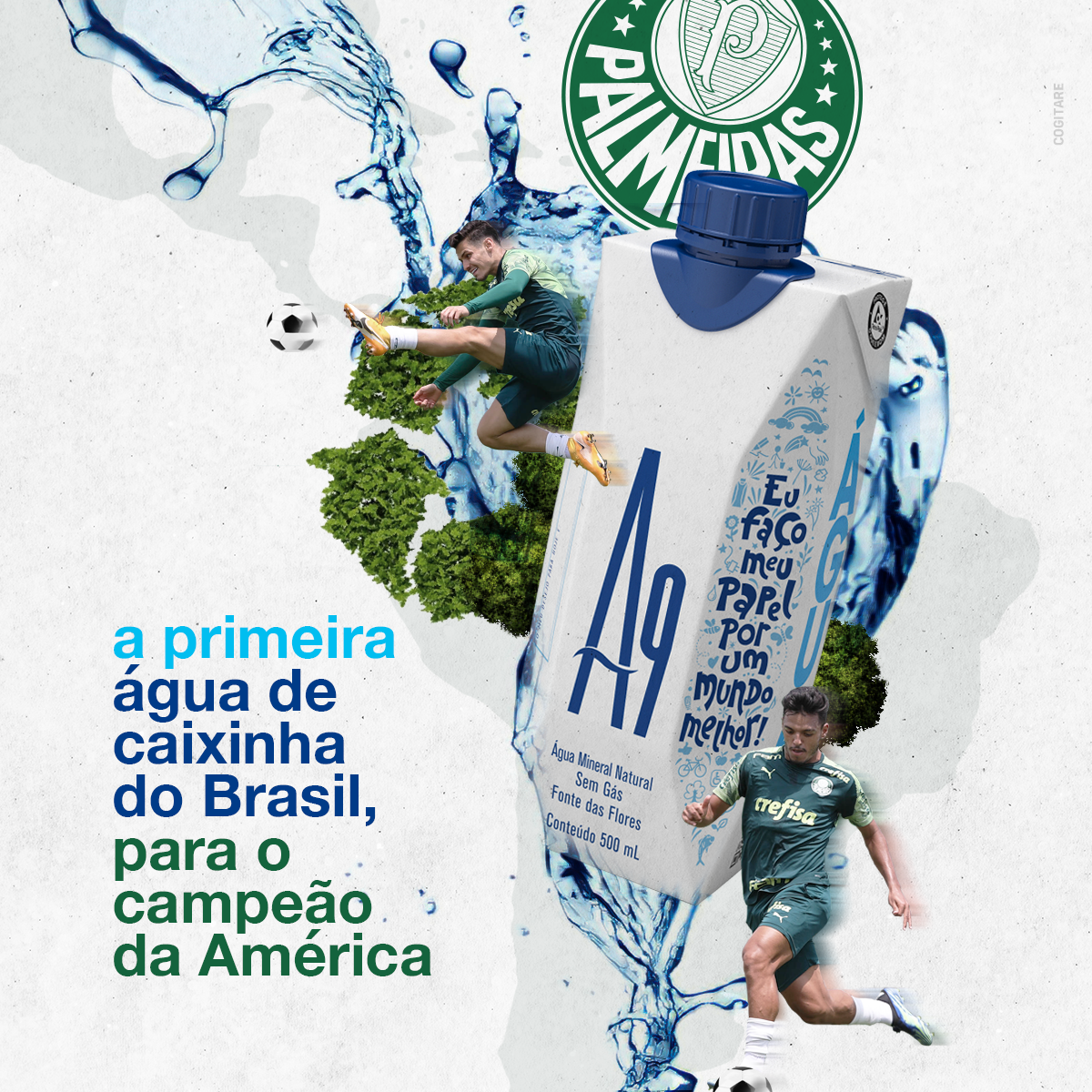 Levity, da Bebidas Poty, torna-se a água mineral oficial do Palmeiras - MKT  Esportivo